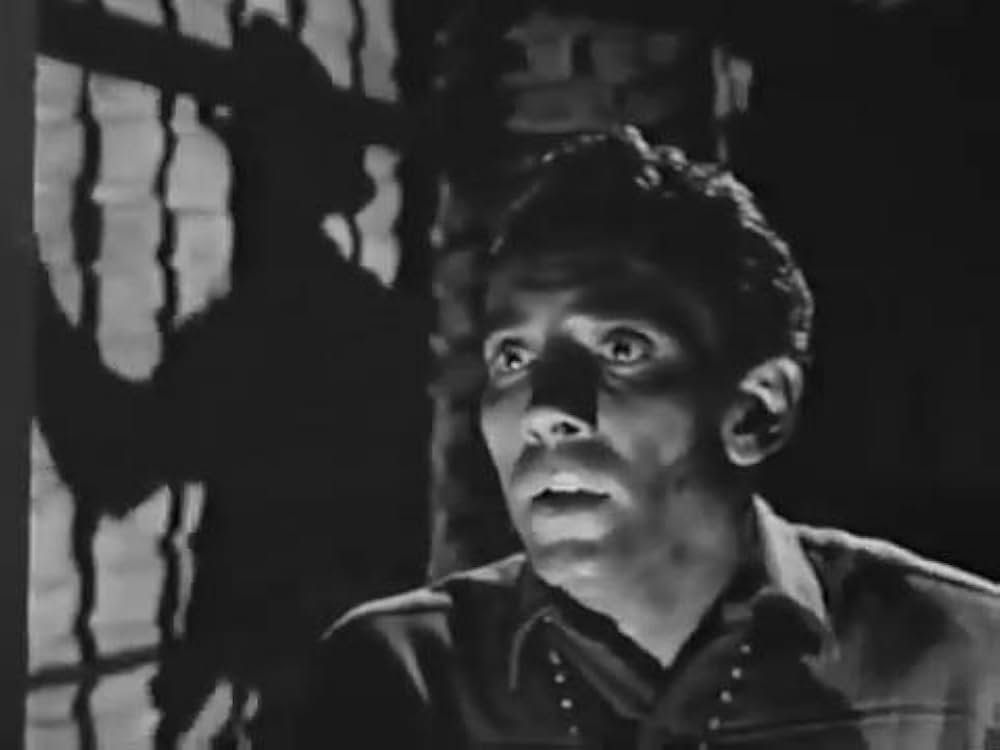 The Halliday Brand（原題）の画像