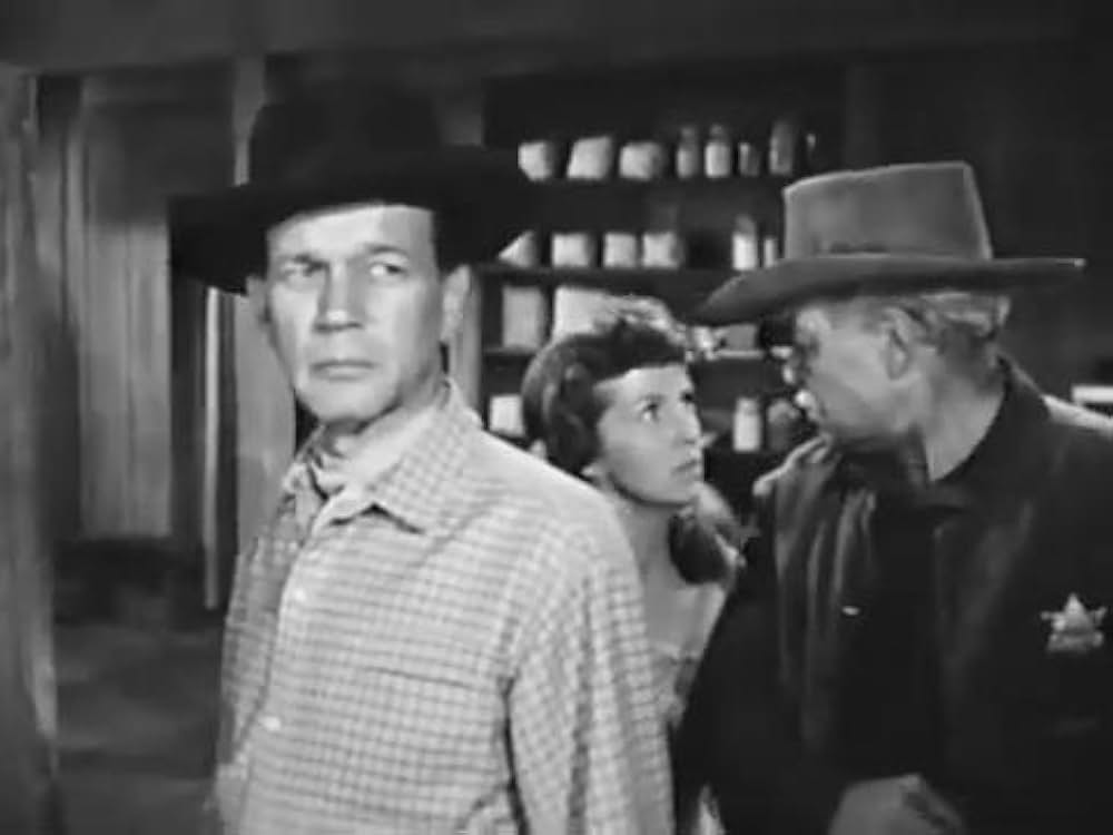 The Halliday Brand（原題）の画像