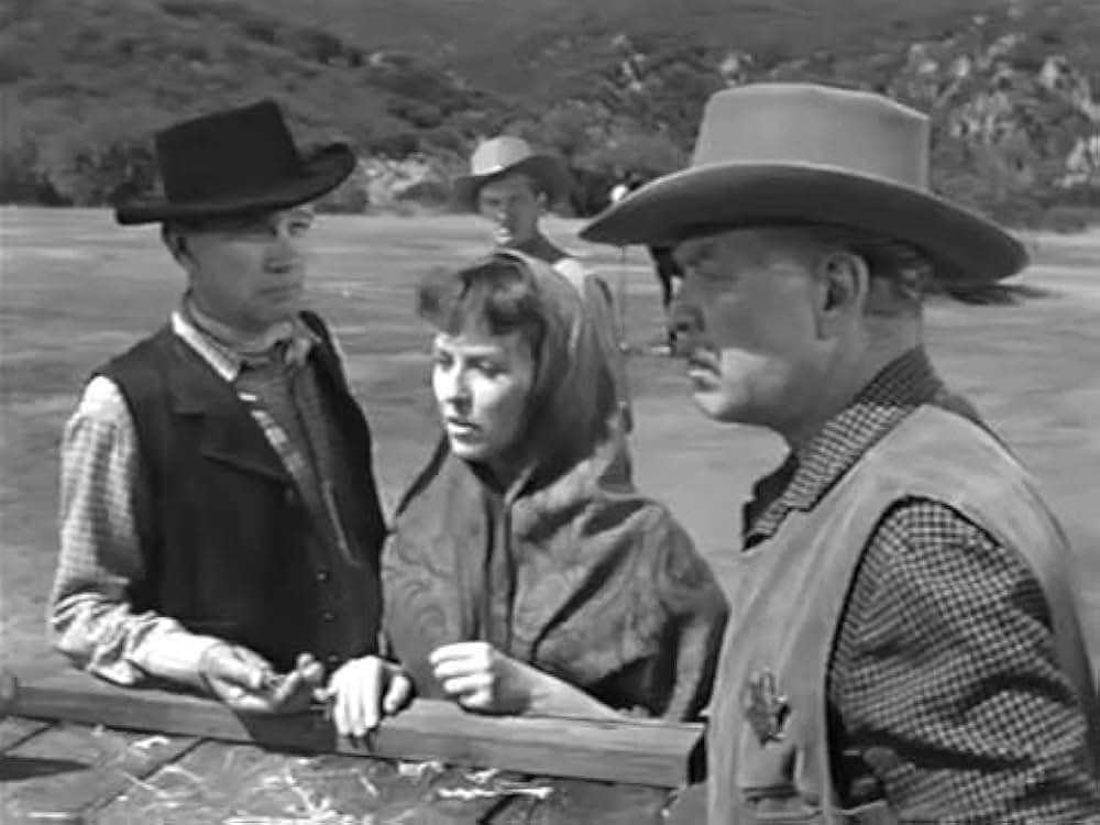 The Halliday Brand（原題）の画像