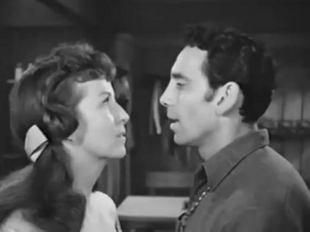 The Halliday Brand（原題）の画像