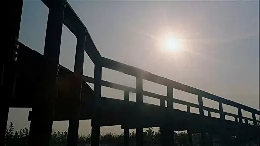 ウォリアーズの画像