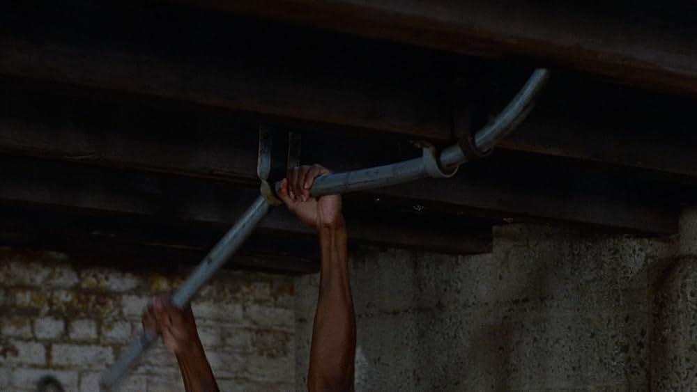 ウォリアーズの画像