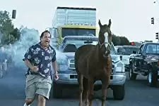 ラットレースの画像