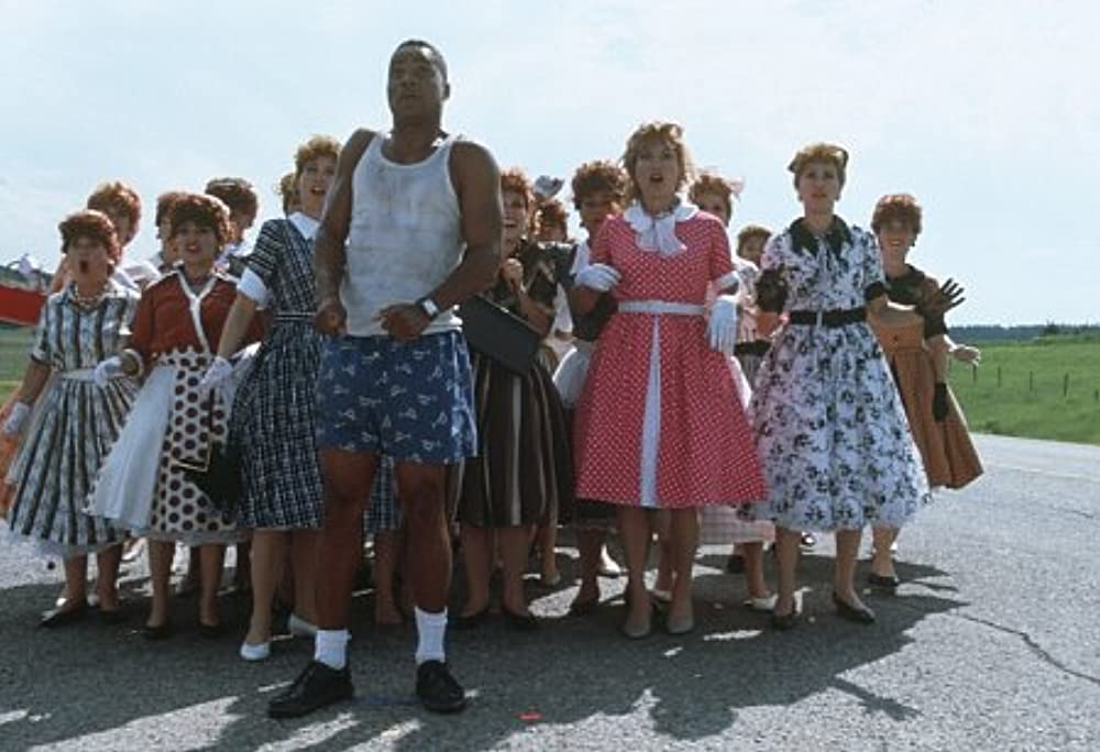 ラットレースの画像