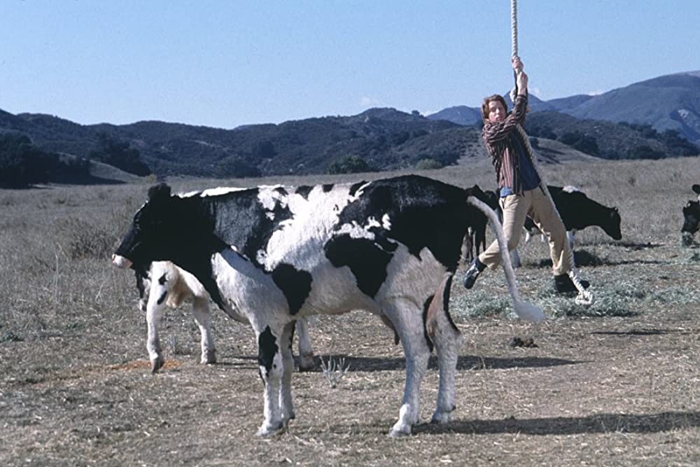 ラットレースの画像