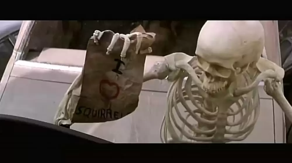 ラットレースの画像