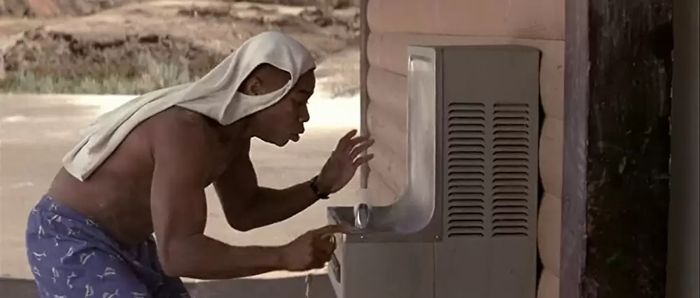 ラットレースの画像