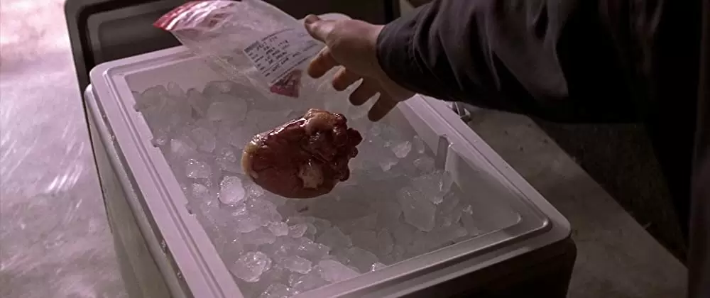 ラットレースの画像