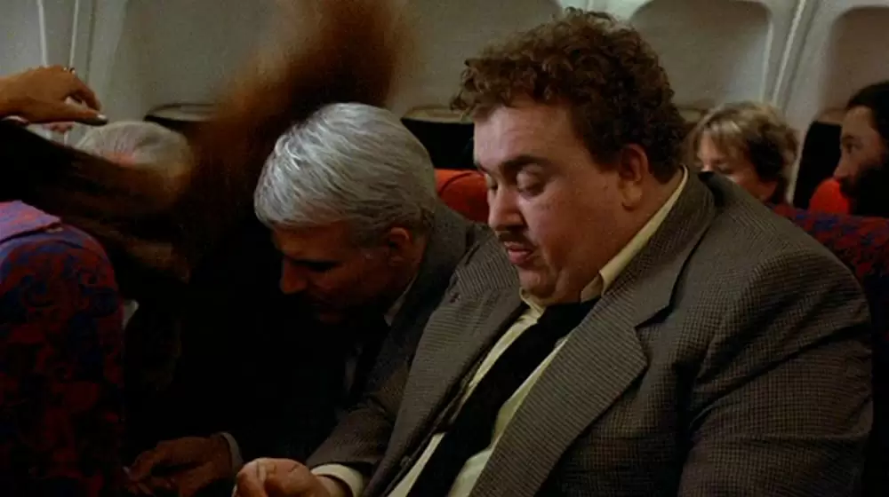 「大災難P.T.A.」スティーブ・マーティン & ジョン・キャンディの画像