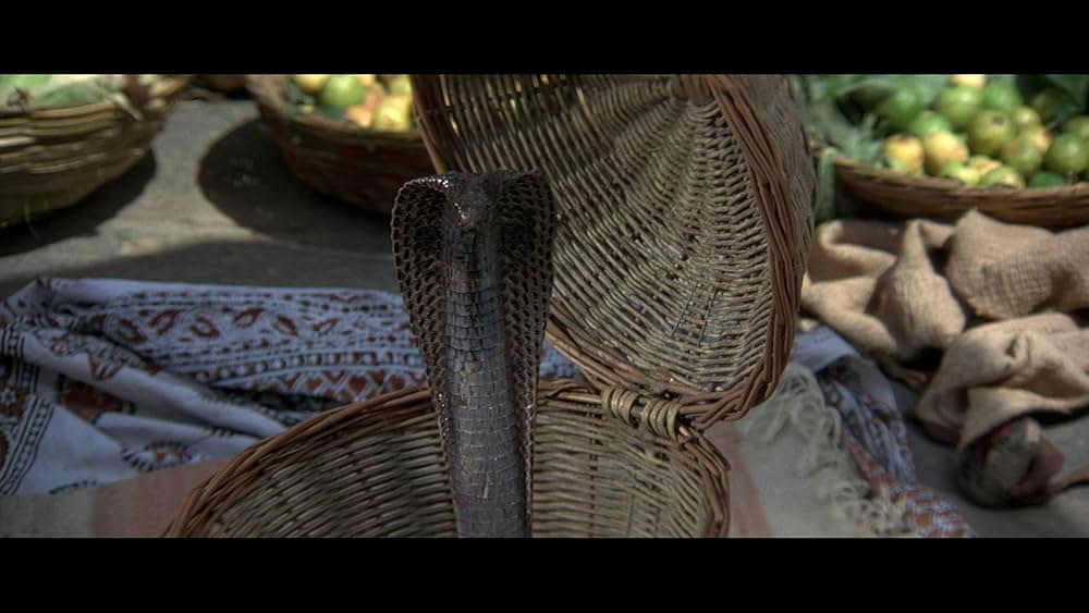 007／オクトパシーの画像