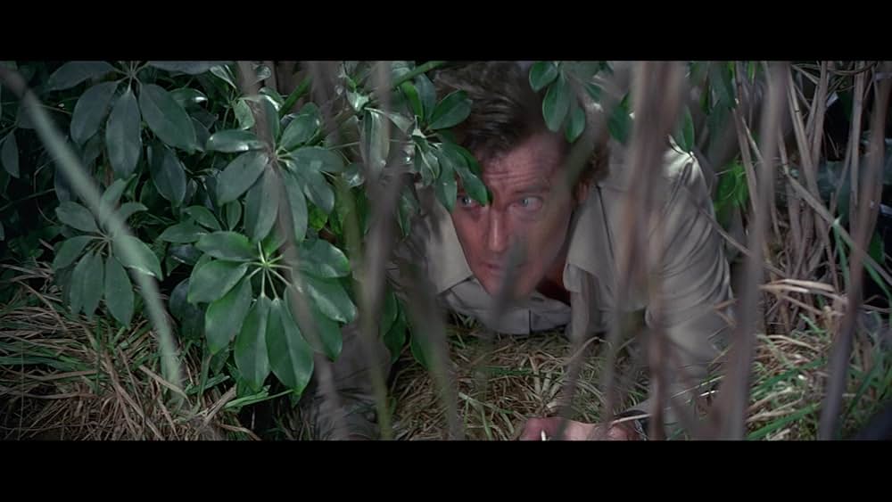 007／オクトパシーの画像