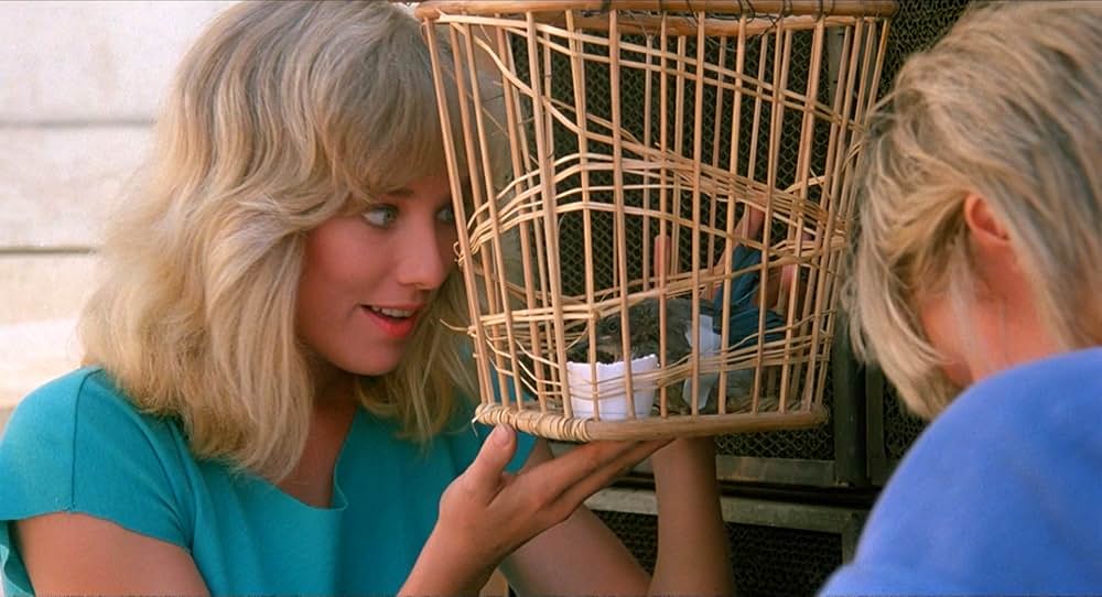 監獄レイプ／24時間の恐怖の画像