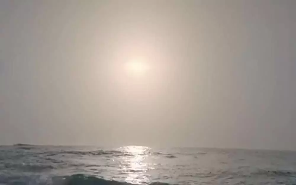 オートマタの画像