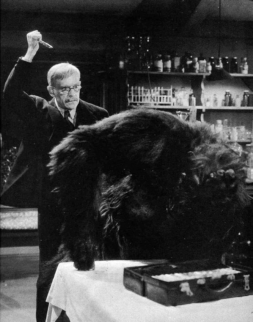 「The Ape（原題）」の画像