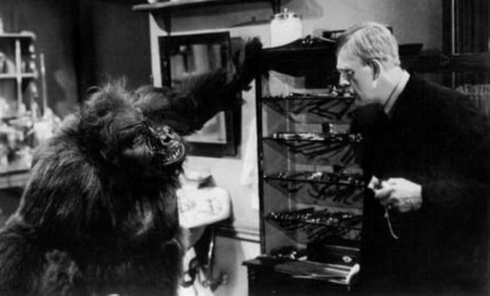 The Ape（原題）の写真