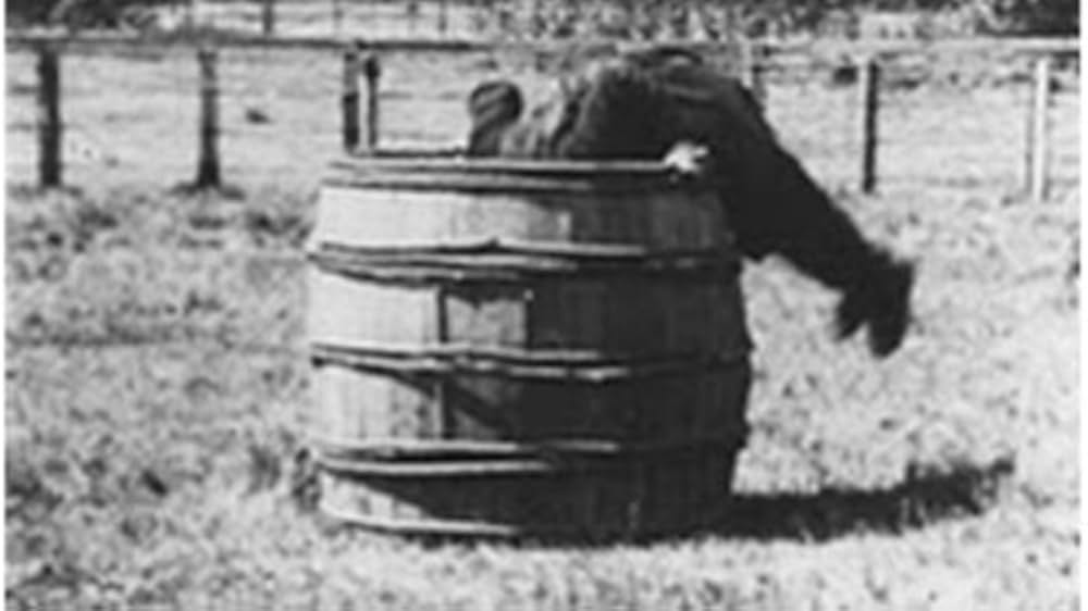 Stop Thief!（原題）の写真