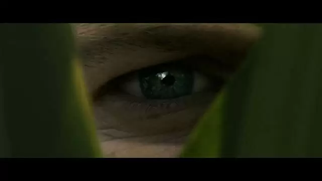 イン・ザ・トール・グラス －狂気の迷路－の画像