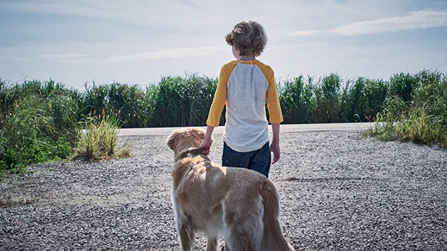 イン・ザ・トール・グラス －狂気の迷路－の画像