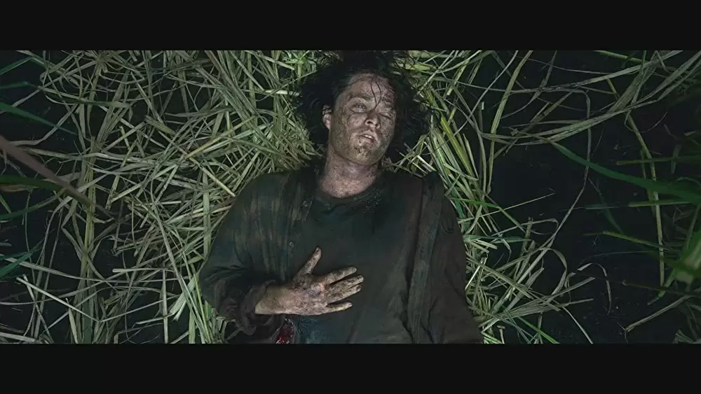 「イン・ザ・トール・グラス －狂気の迷路－」ハリソン・ギルバートソンの画像