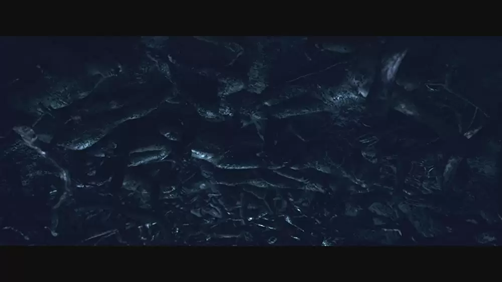 イン・ザ・トール・グラス －狂気の迷路－の画像