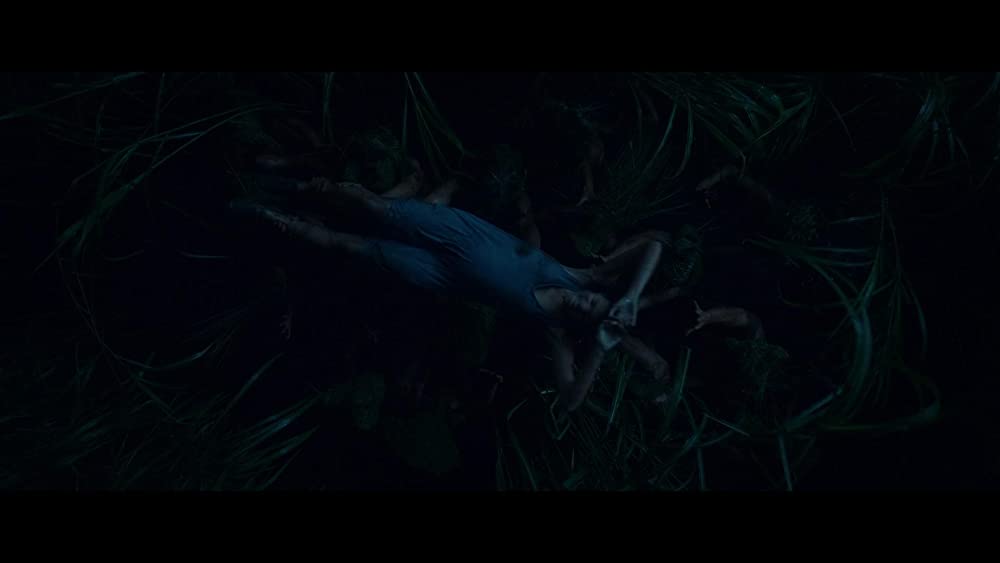 イン・ザ・トール・グラス －狂気の迷路－の画像