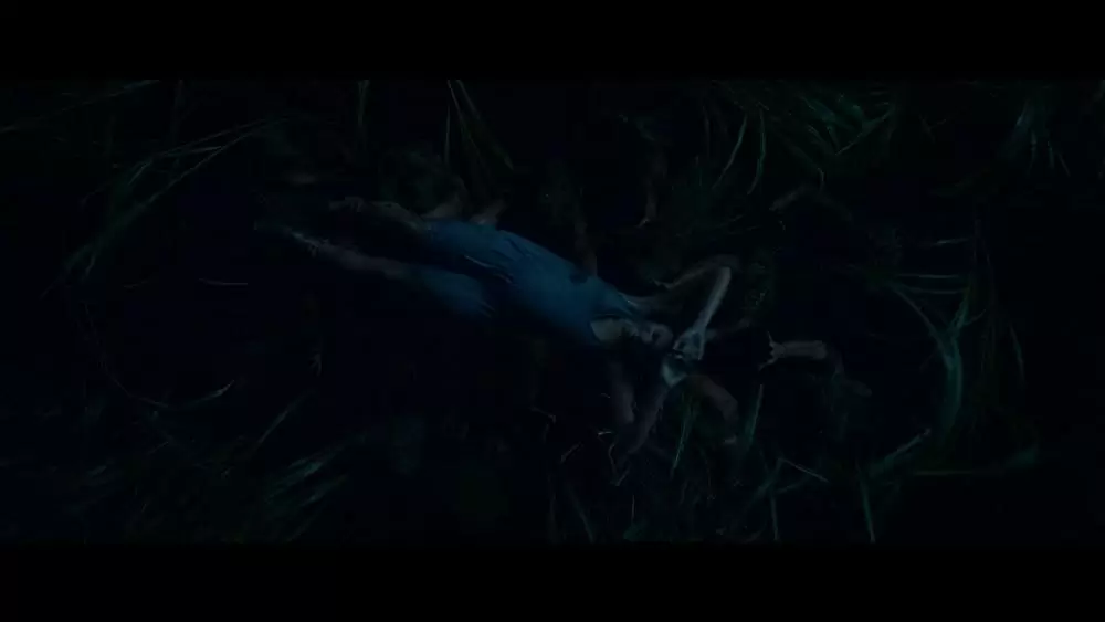 「イン・ザ・トール・グラス －狂気の迷路－」ライズラ・デ・オリビアの画像