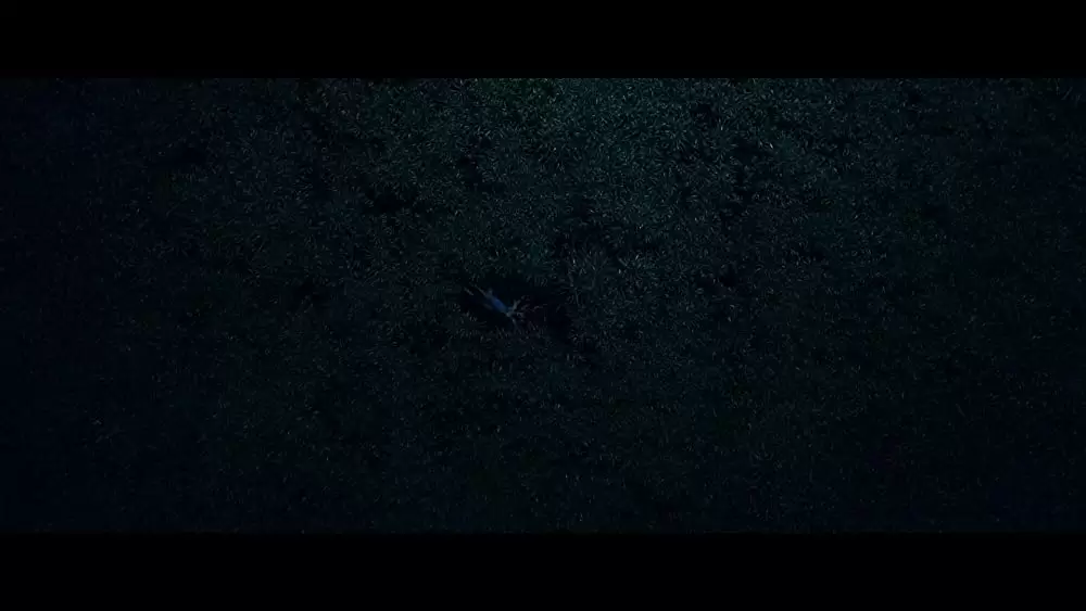 「イン・ザ・トール・グラス －狂気の迷路－」ライズラ・デ・オリビアの画像