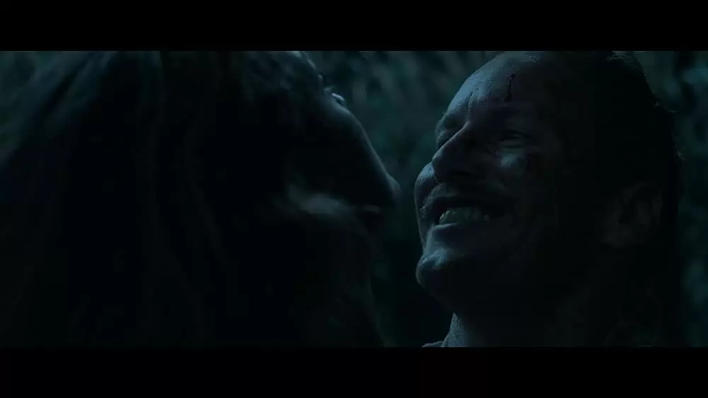 「イン・ザ・トール・グラス －狂気の迷路－」パトリック・ウィルソン & ライズラ・デ・オリビアの画像