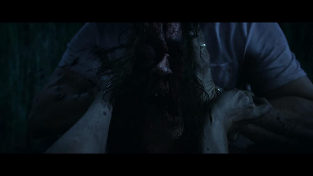 イン・ザ・トール・グラス －狂気の迷路－の画像