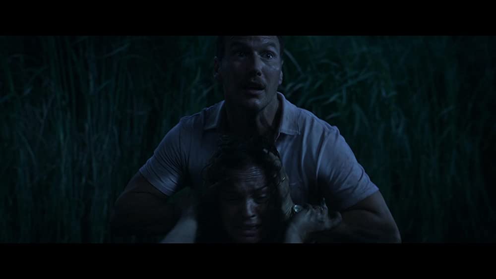 イン・ザ・トール・グラス －狂気の迷路－の画像