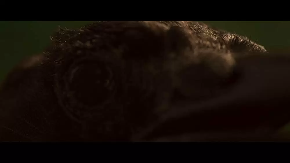 イン・ザ・トール・グラス －狂気の迷路－の画像