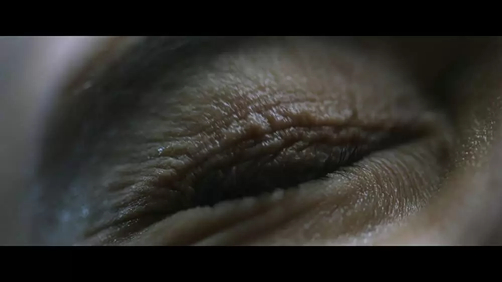 イン・ザ・トール・グラス －狂気の迷路－の画像