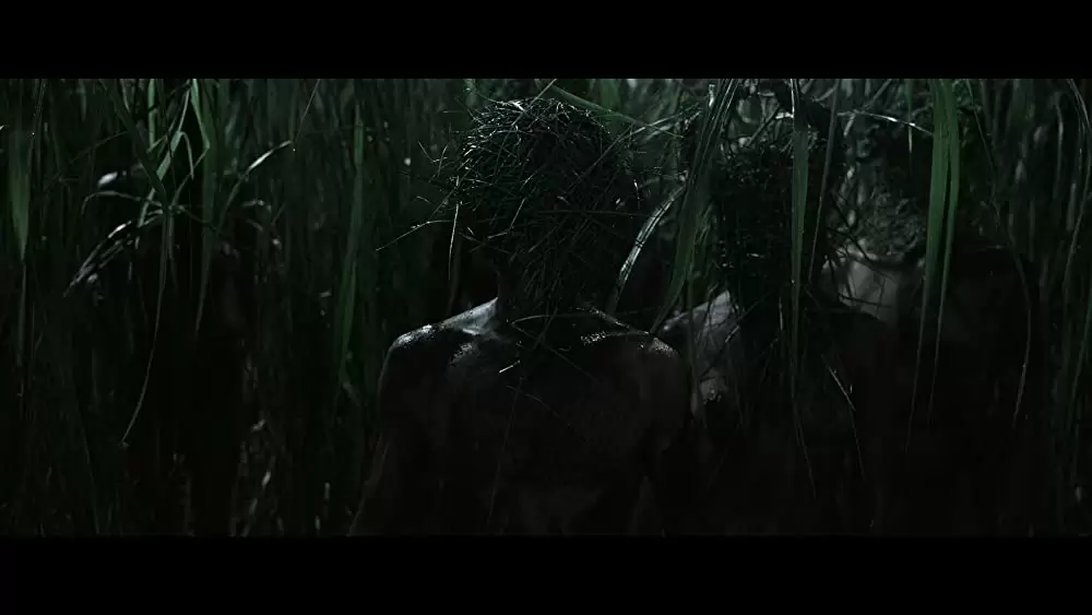 イン・ザ・トール・グラス －狂気の迷路－の画像