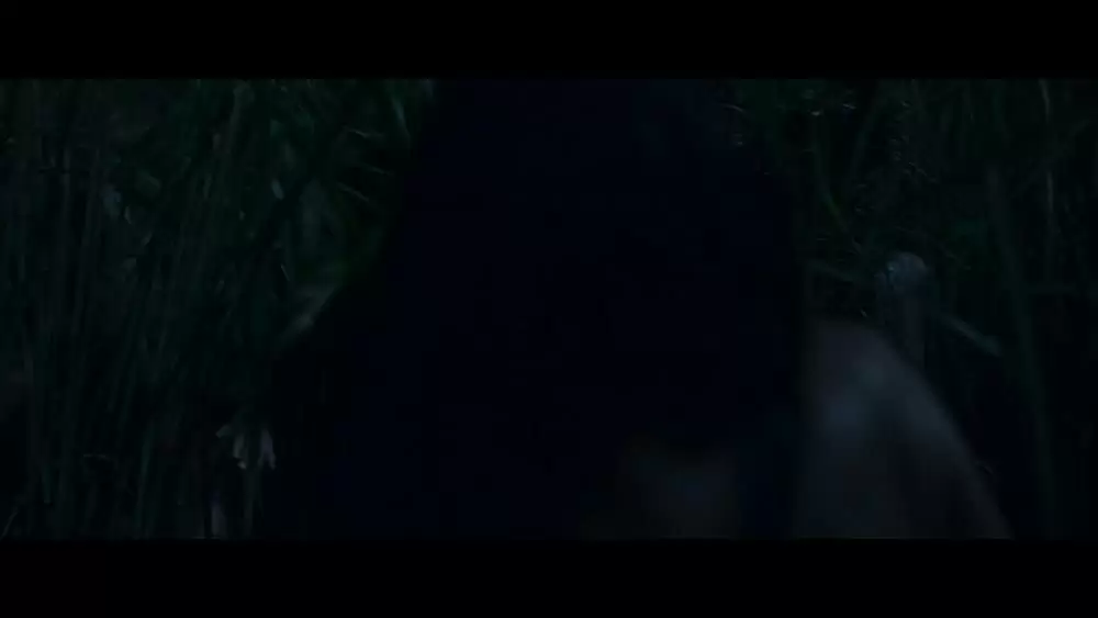 イン・ザ・トール・グラス －狂気の迷路－の画像