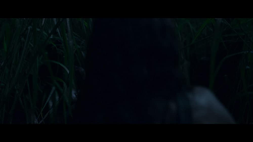 イン・ザ・トール・グラス －狂気の迷路－の画像