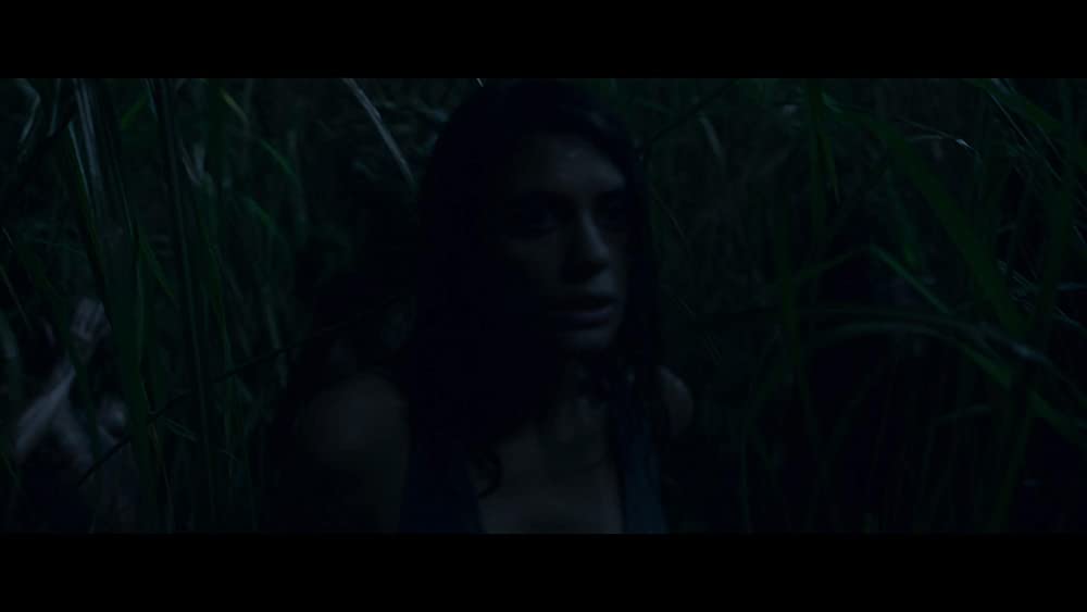 イン・ザ・トール・グラス －狂気の迷路－の画像