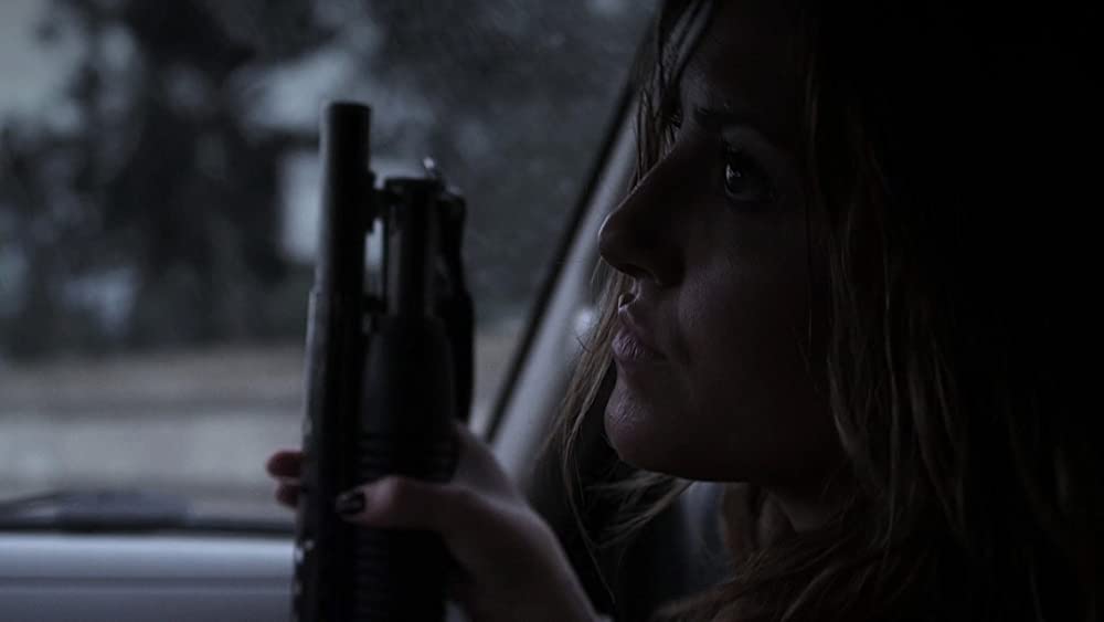 シャークネードの画像