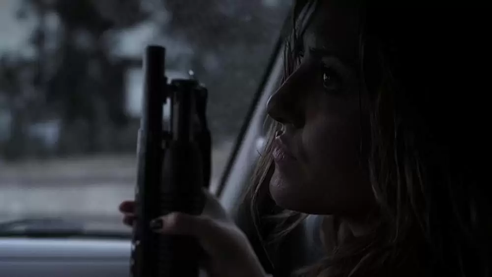 「シャークネード」キャシー・スケルボの画像