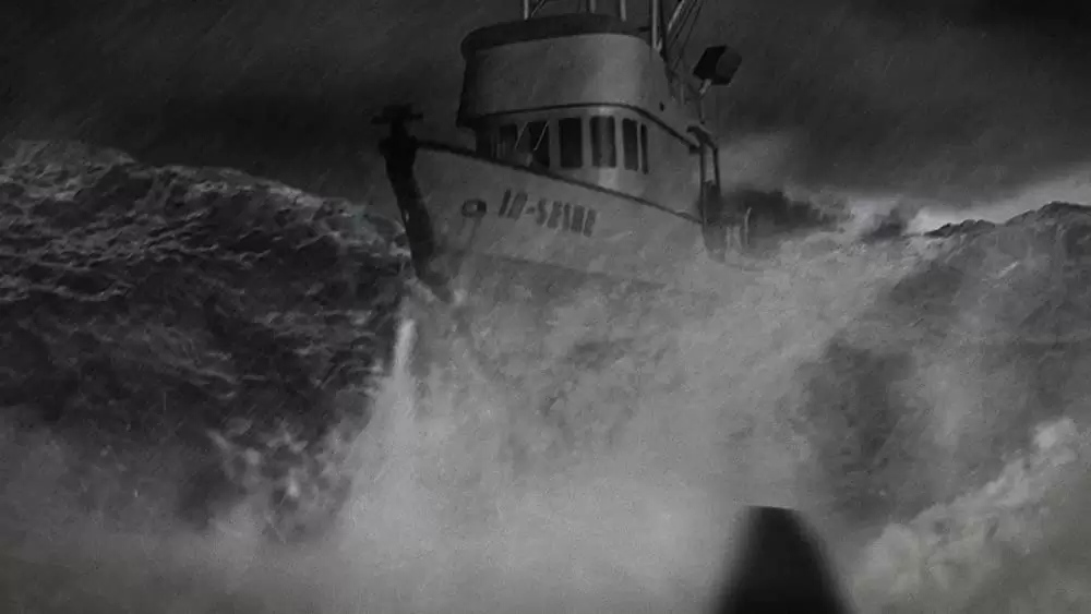 シャークネードの画像