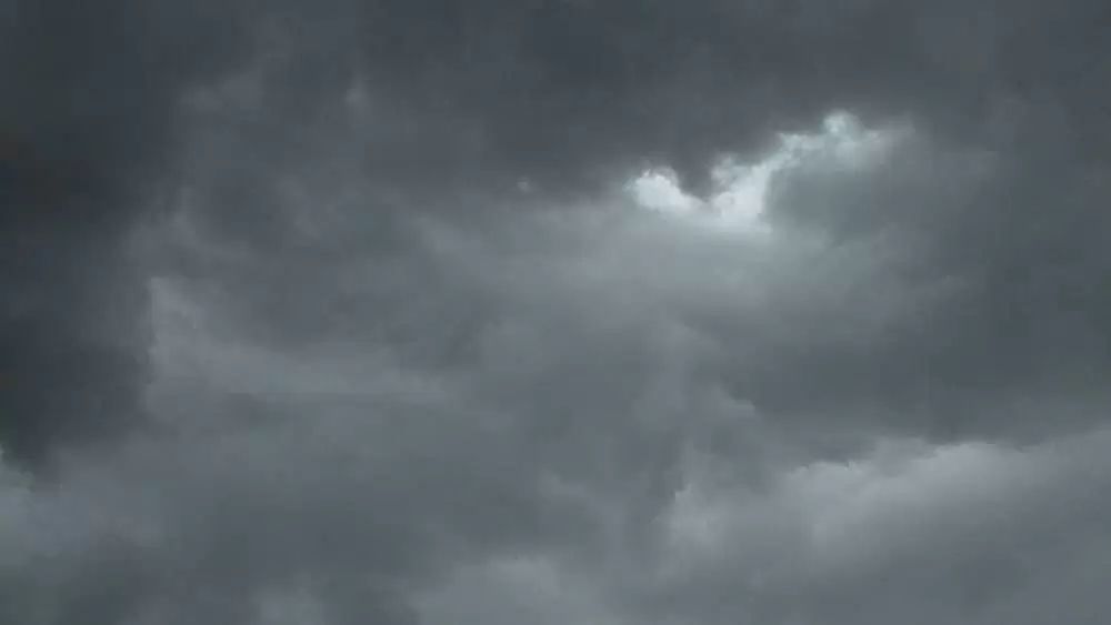 シャークネードの画像