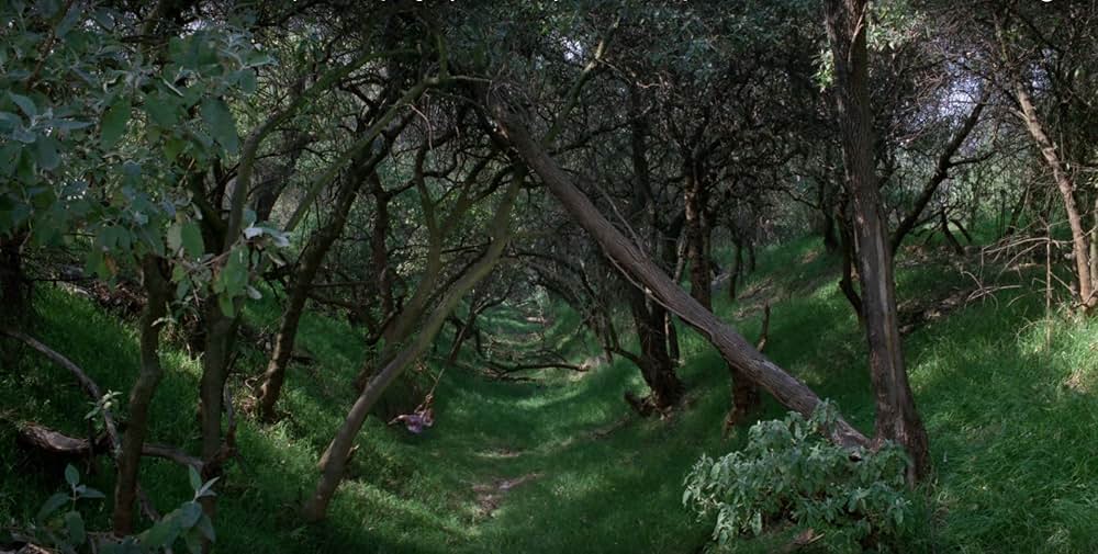 Poison for the Fairies（英題）の画像