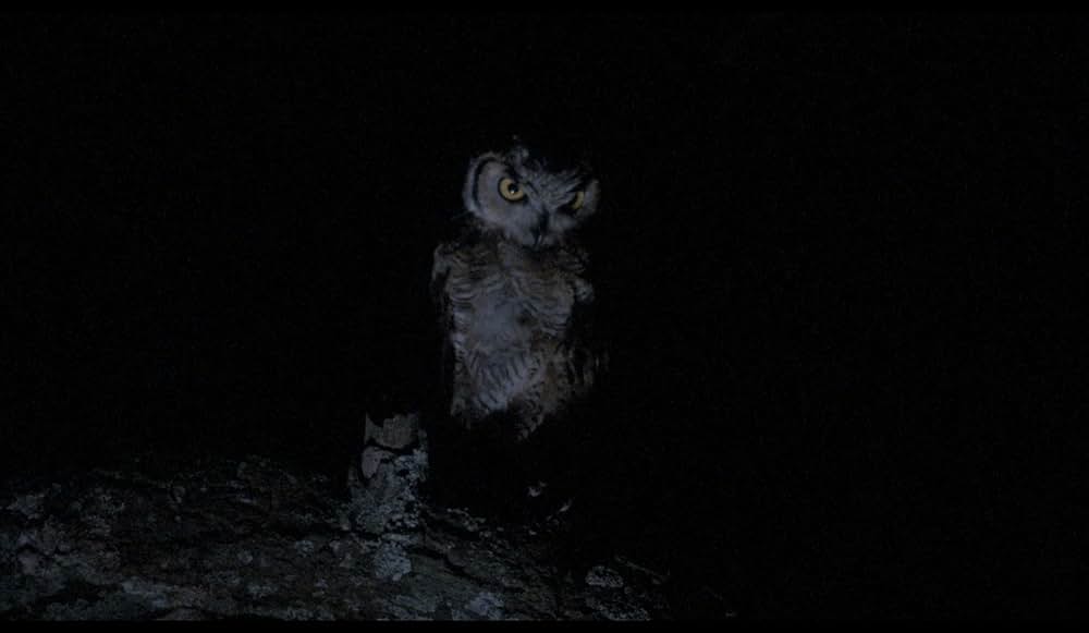 Poison for the Fairies（英題）の画像