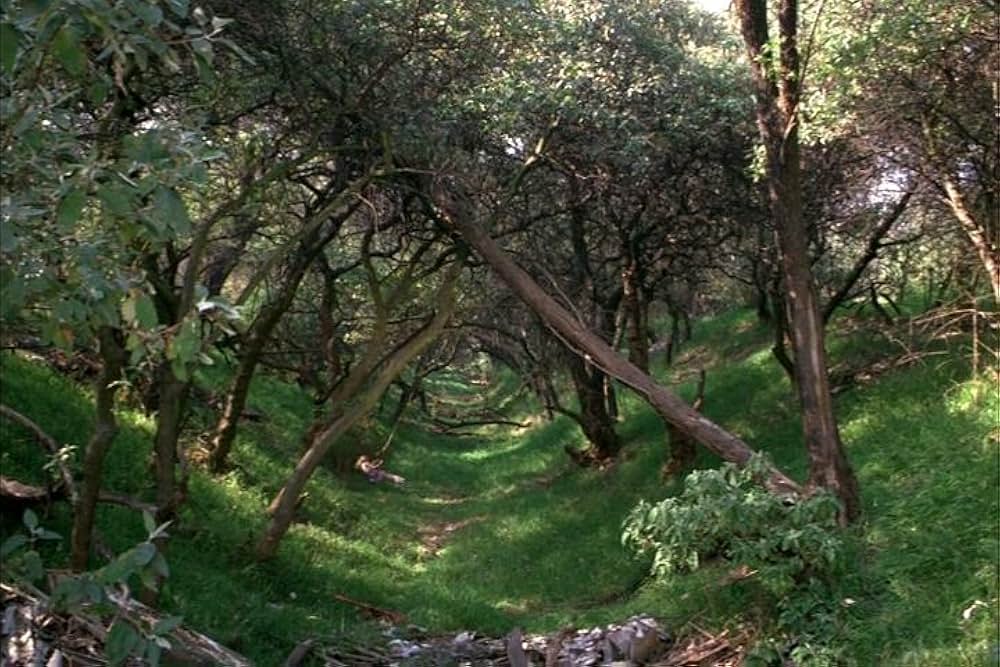 Poison for the Fairies（英題）の画像