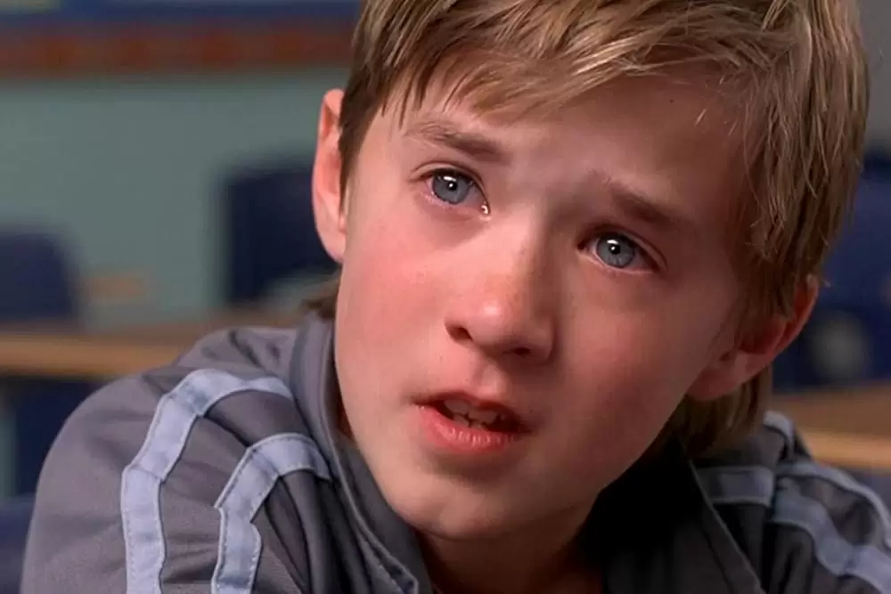 「ペイ・フォワード 可能の王国」ハーレイ・ジョエル・オスメントの画像