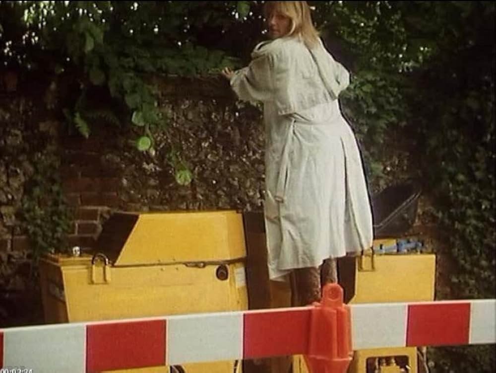 欲情の扉の画像