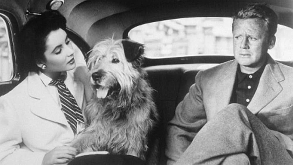 The Big Hangover（原題）の画像