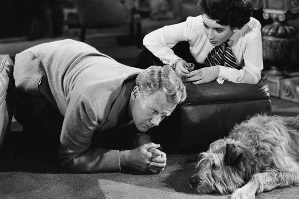 The Big Hangover（原題）の画像