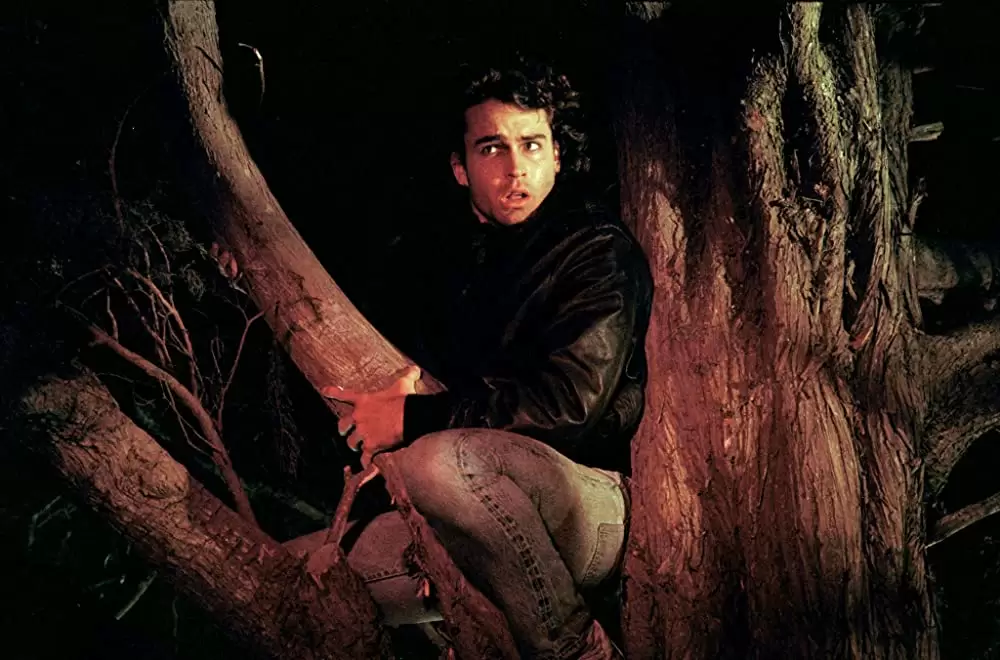 ロストボーイの画像