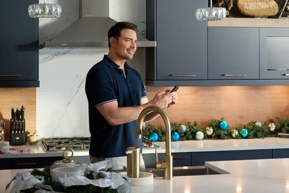 The Holiday Sitter（原題）の画像