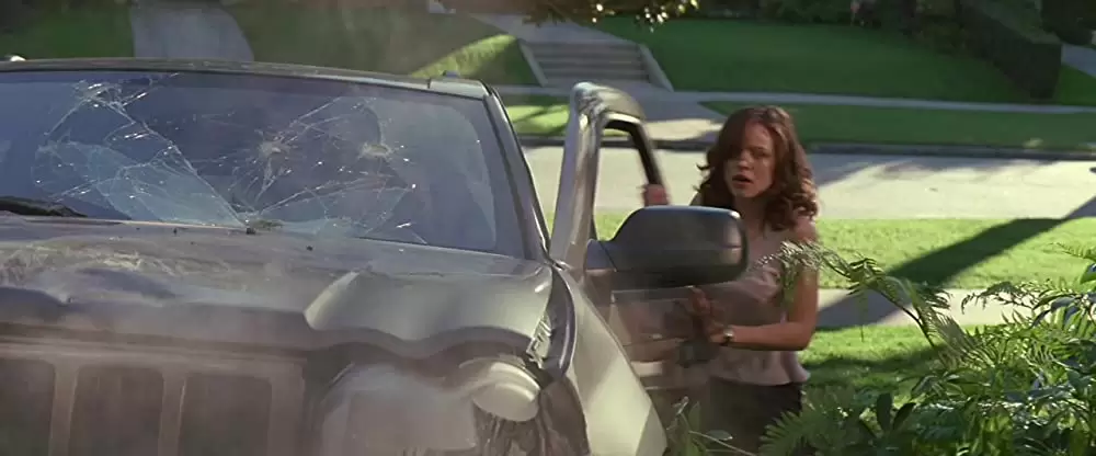 パニック・フライトの画像